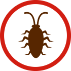 image of insect icon